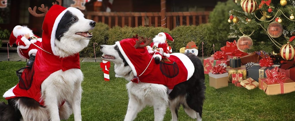 Santa Dog Costume