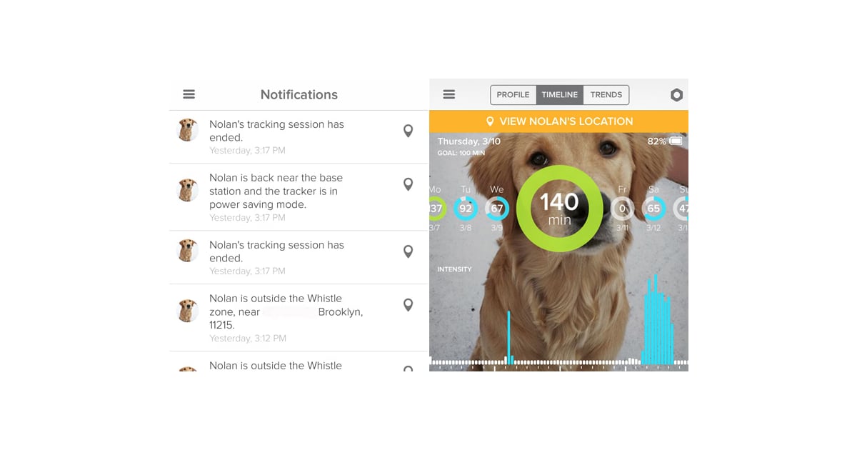 Fitness Trackers For Dogs POPSUGAR Pets
