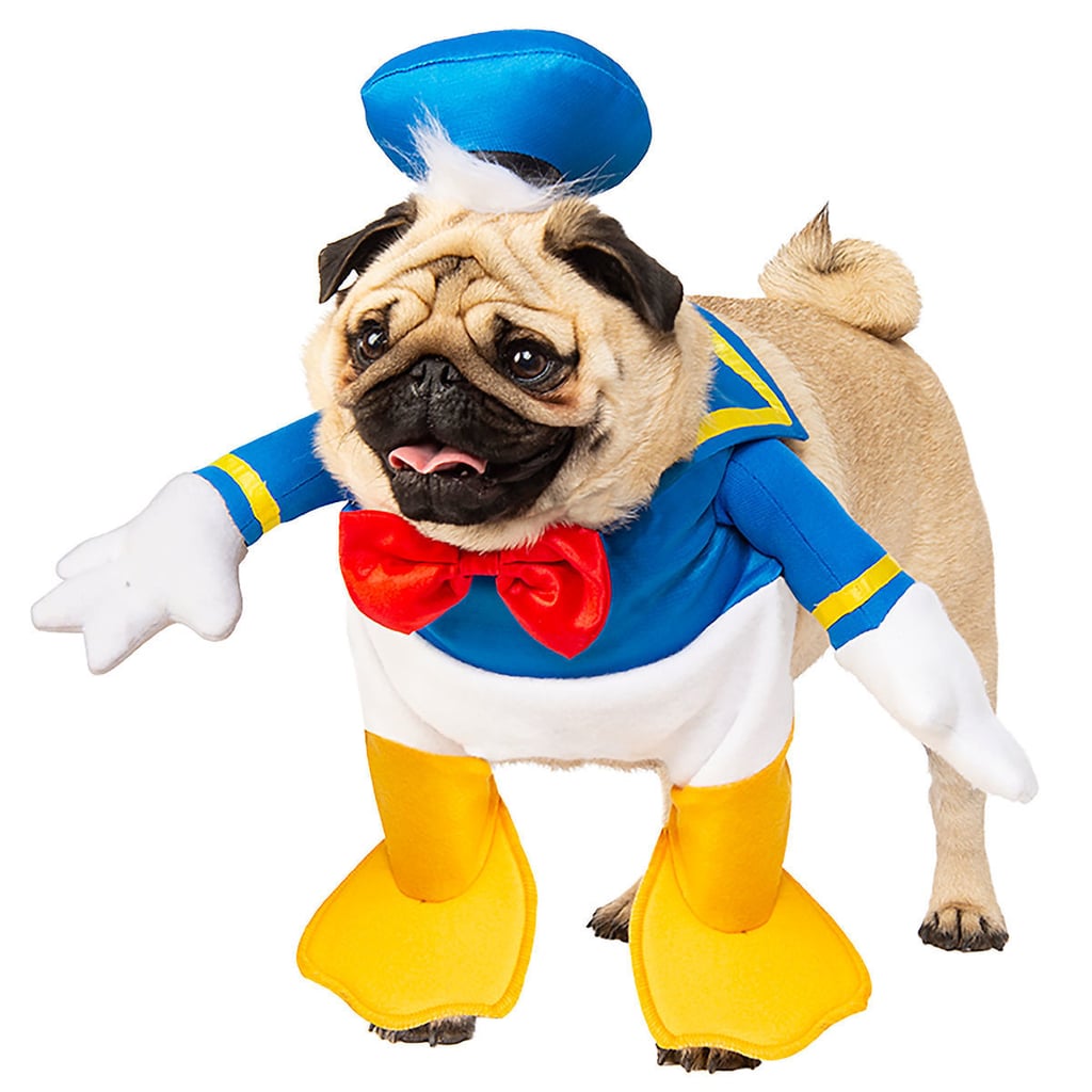 Disney Pet Costumes Popsugar Pets