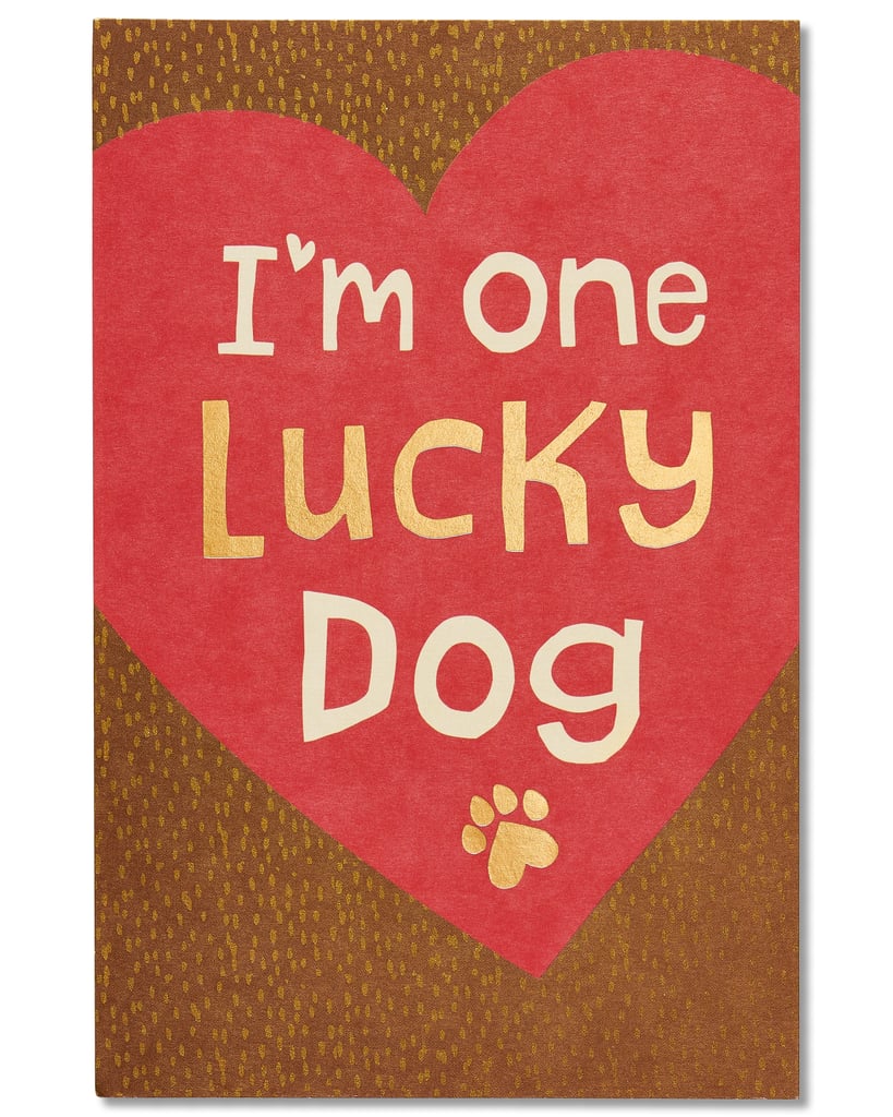 For Your Fellow Pet Parent