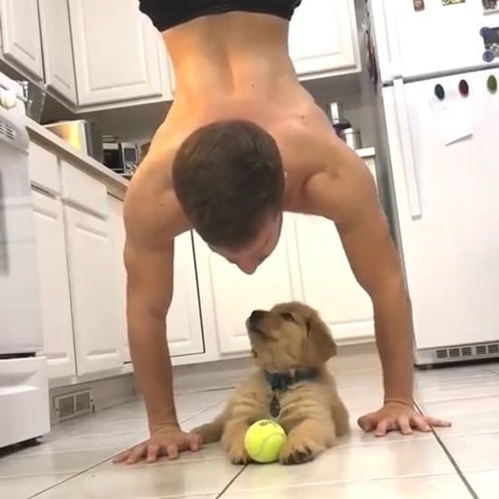 Man Working Out With His Golden Retriever Puppy