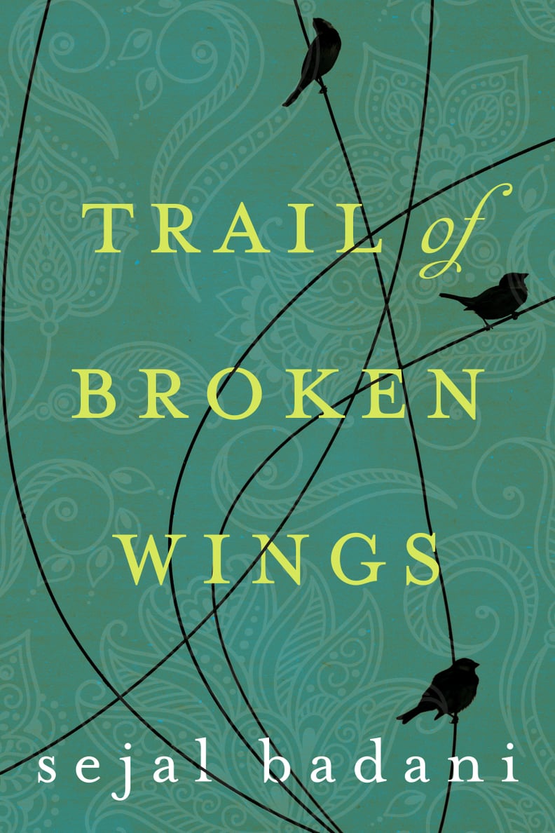 Trail of Broken Wings