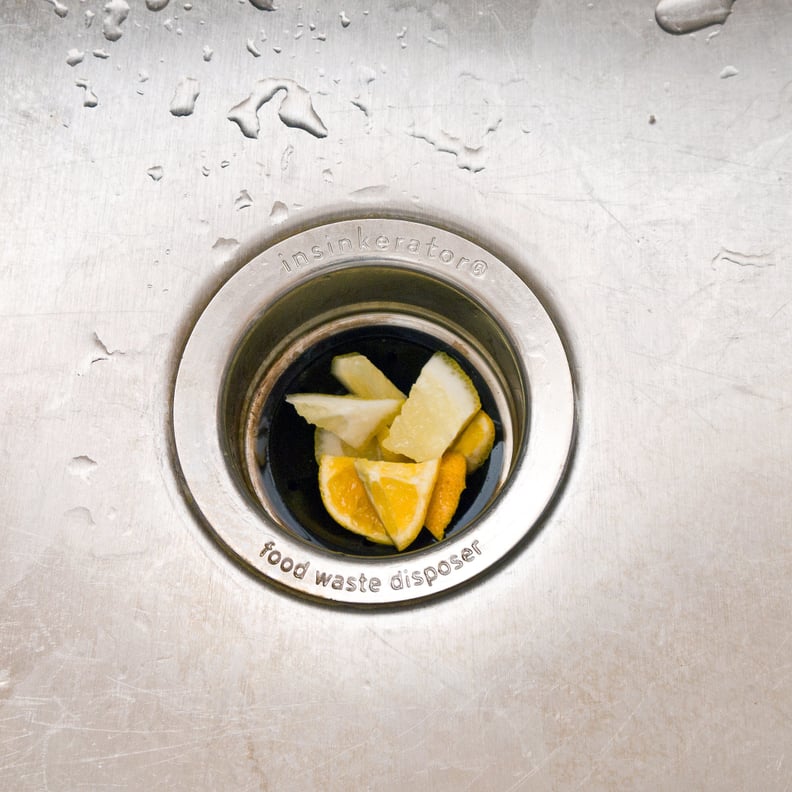 Clean your garbage disposal.