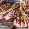 Costumed Characters and Traditional Dance: Inside the Folklore That Fuels Fiestas Patrias