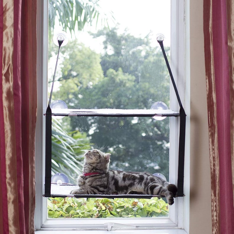 Lifis Cat Window Perch