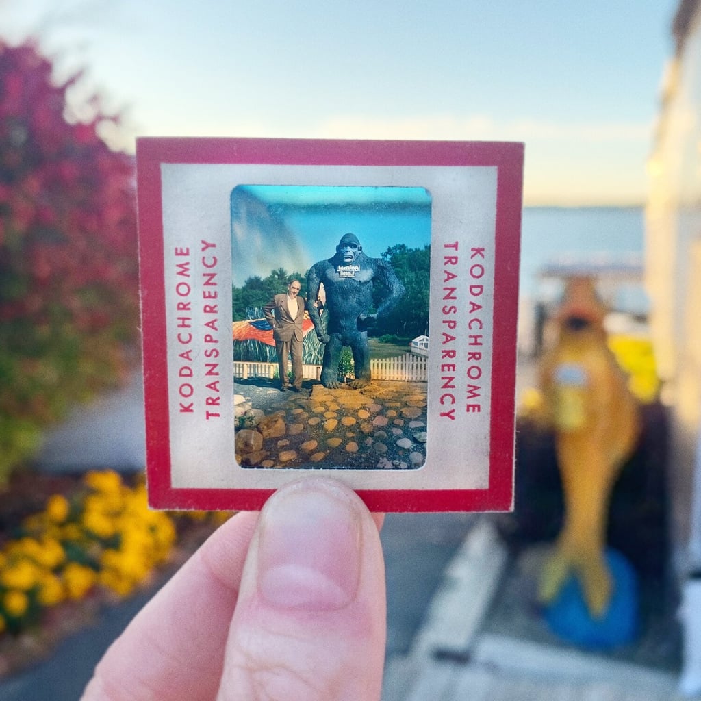 Photographer Uses Dad's Slides in a Photo Tribute to Parents