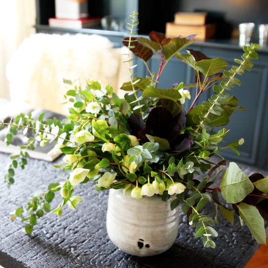 Houseplants That Improve Indoor Air Quality