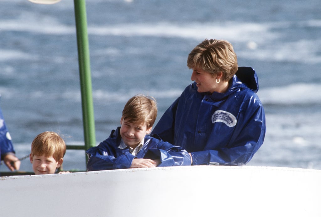 Prince Harry and Prince William visited Niagara Falls with their mom, the late Princess Diana, in October 1991.