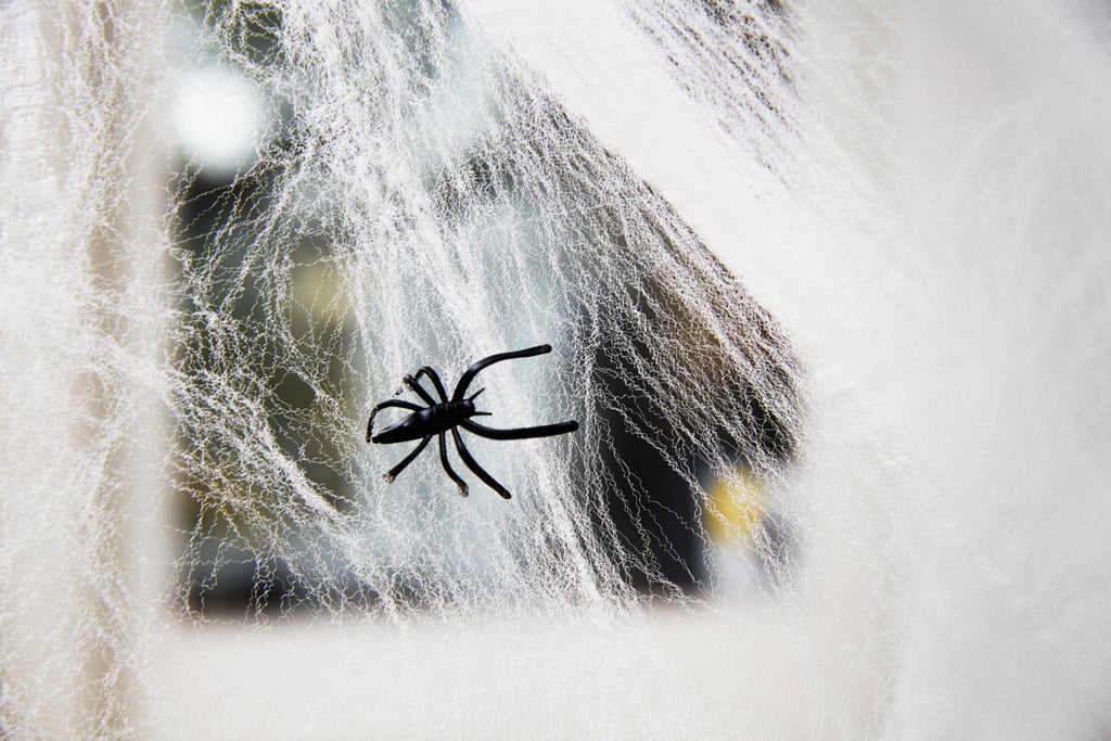 The "is my kid about to touch a black recluse or just a plastic spider ring?" question.
