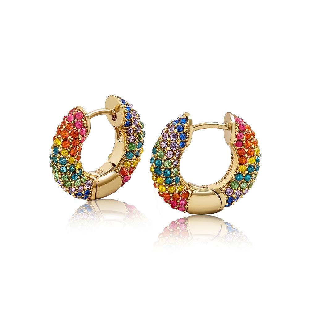 Rainbow Huggie Hoop Earrings