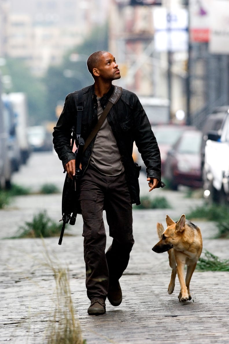 Dr. Robert Neville From I Am Legend