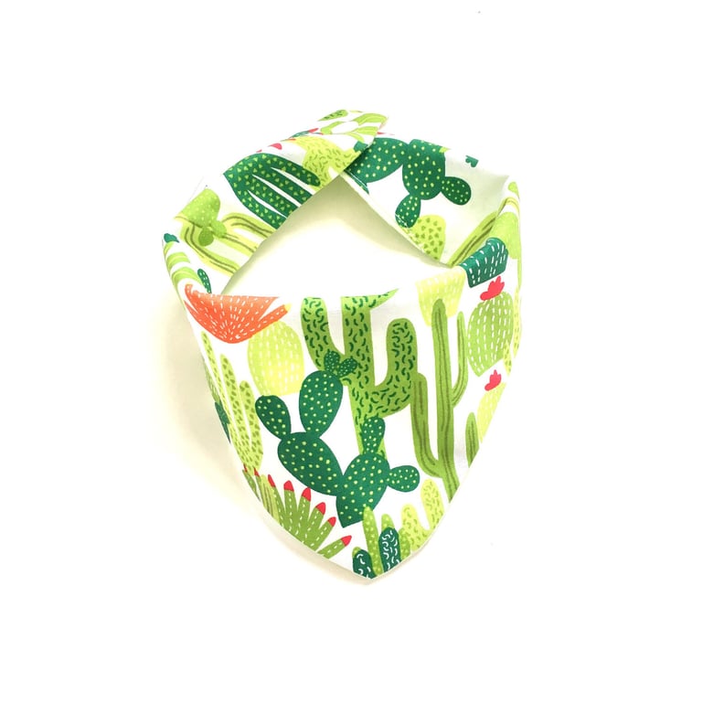 Flowering Cactus Baby Burpee Bandana