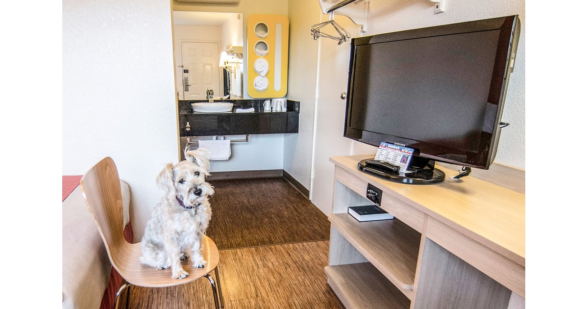 Motel 6 Pet Friendly Vacations Popsugar Pets Photo 2