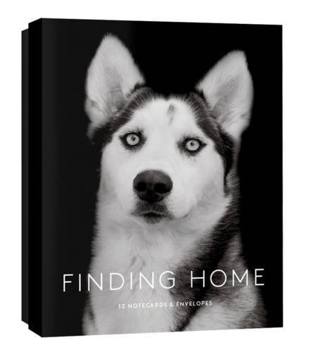 This beautiful box of Finding Home notecards ($15) features portraits of 12 shelter dogs and their rescue stories. Photographer Traer Scott managed to capture each pup's personality in this stunning display.