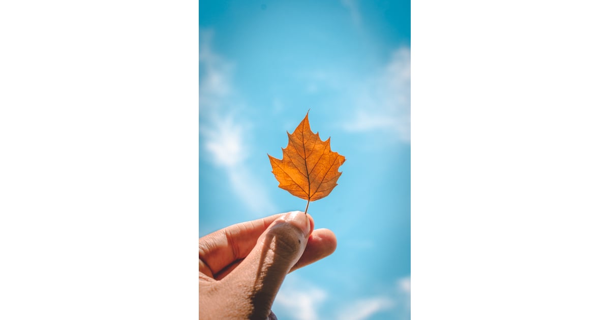 20 Cozy Fall Wallpapers For Your iPhone | POPSUGAR Tech ...
