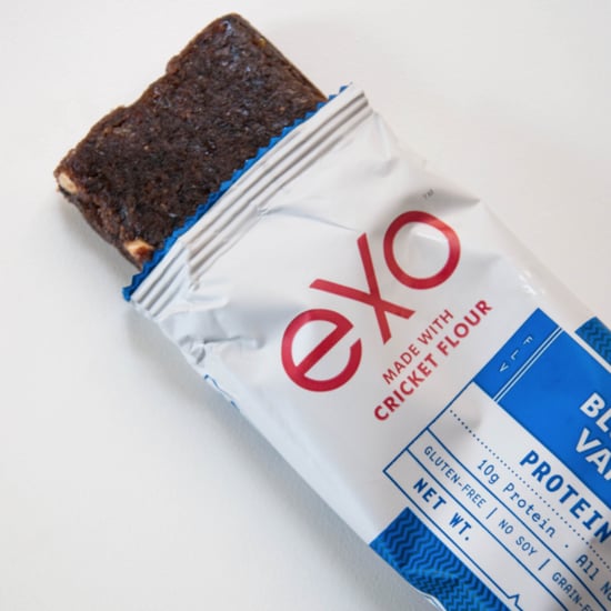 What Does Cricket Protein Taste Like