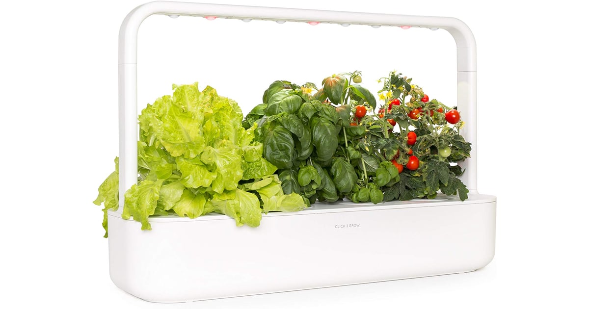 Click & Grow Smart Garden 9 Self Watering Indoor Garden ...