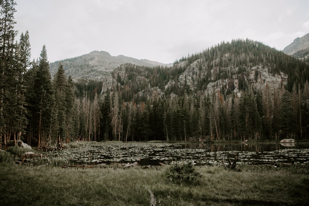 Rocky Mountain Vow Renewal