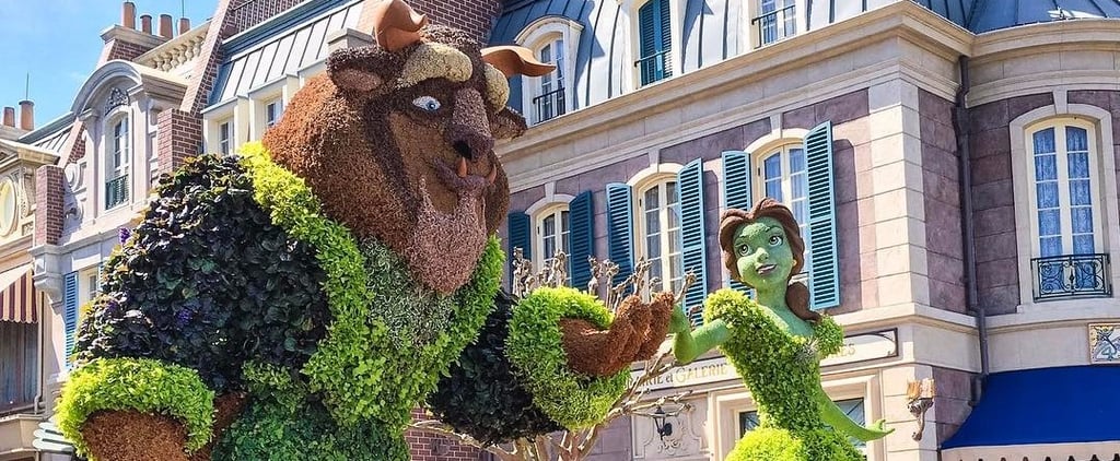 2017 Epcot International Flower and Garden Festival
