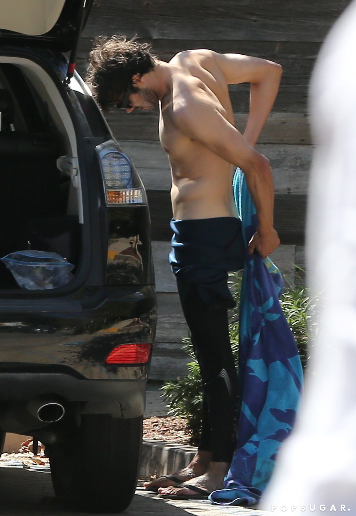 Adam brody shirtless