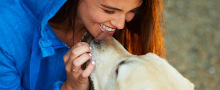 Does Dog Food Affect Dental Health?