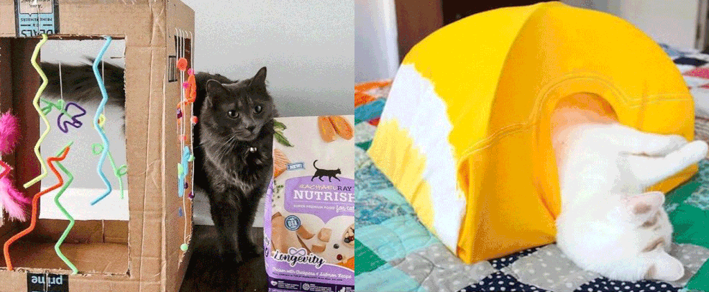 Fun and Easy DIY Cat Toys to Keep Cats Busy
