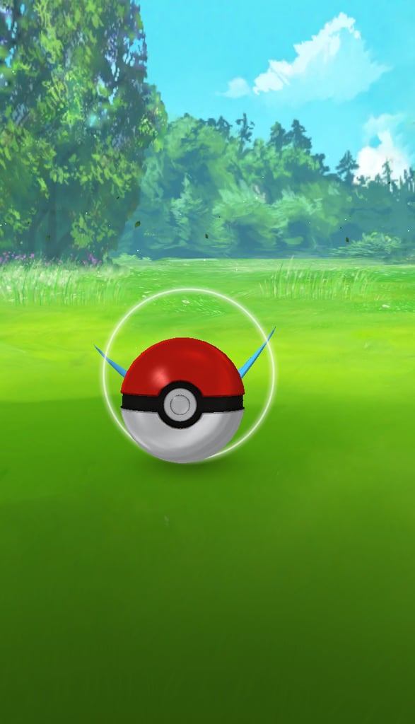 Throw the pokéball when the circle is the smallest.