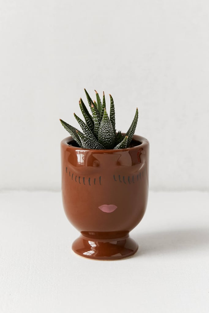 Celfie Planter