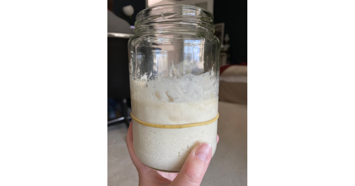 Sourdough Starter Day 2 Sourdough Starter DaybyDay Photos