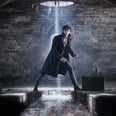 Newt Prepares to Face Off Against Grindelwald in the Magical New Trailer For Fantastic Beasts 2