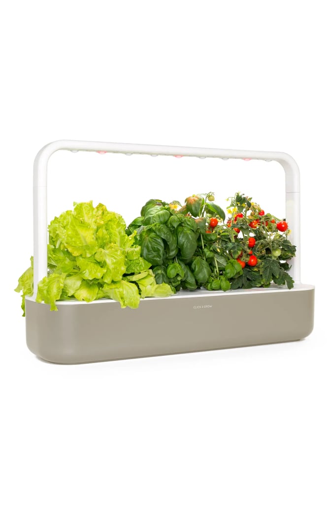 Best Smart Garden Deal Nordstrom Anniversary Sale Home Deals 2023