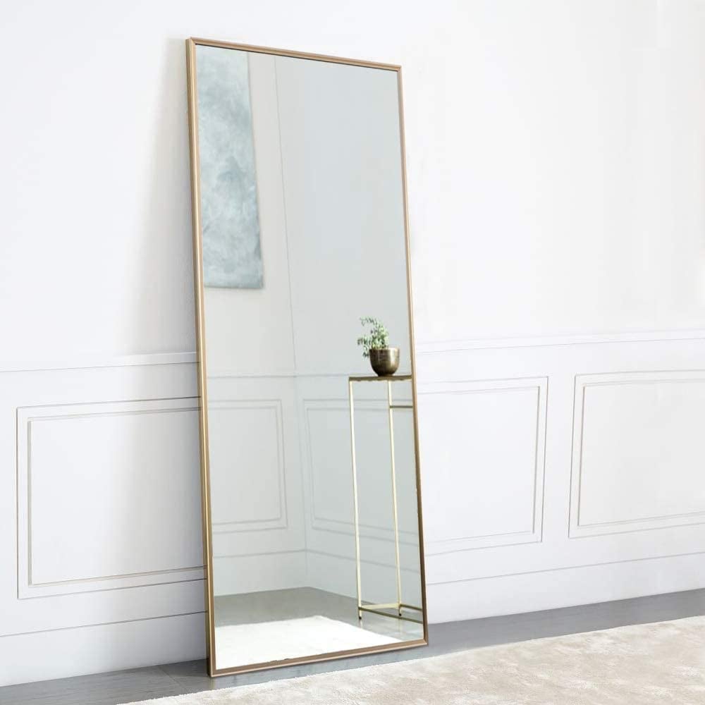 NeuType Full Length Mirror Standing Hanging or Leaning Against Wall  65"x22"