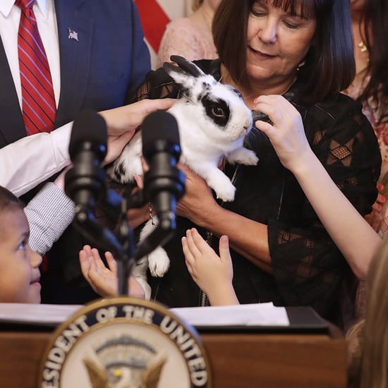 Cute Pictures of VP Mike Pence's Bunny Marlon Bundo