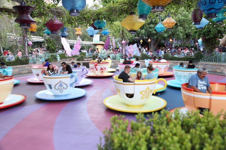 There are so many rides to go on. | Best Things About Disneyland ...