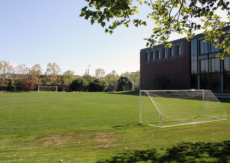 Employees can play on the soccer field . . .