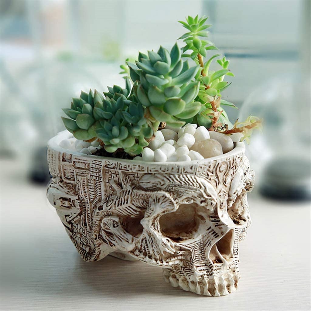 Antique Skull Succulent Pot
