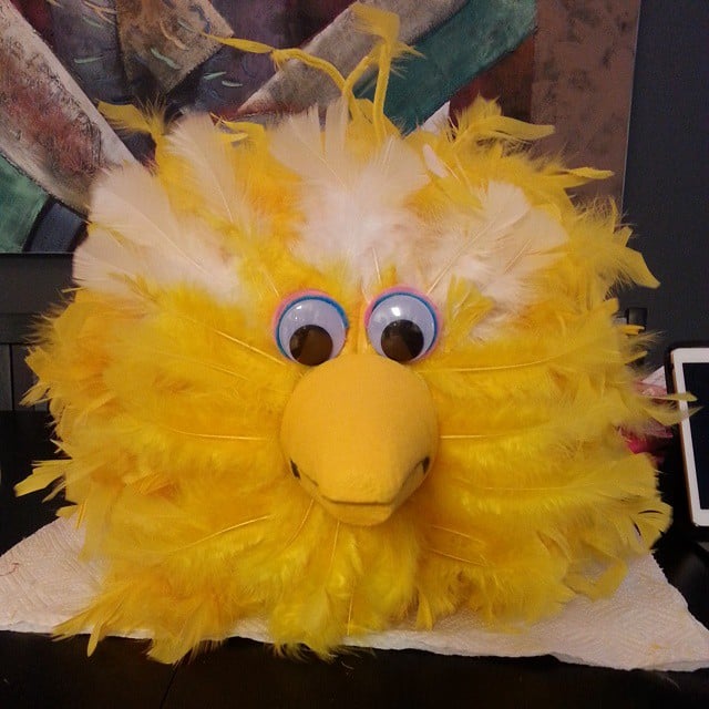 Big Bird!