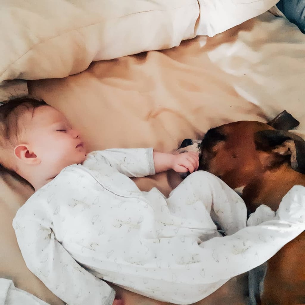 Cute Pictures of Dogs Napping With Kids and Babies