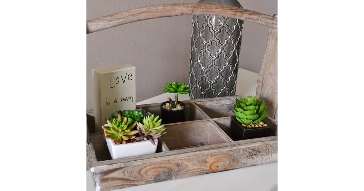 The find this antiquelooking tray, which serves as a succulent
