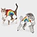 Pet Halloween Costumes For Cats and Dogs at Target 2020