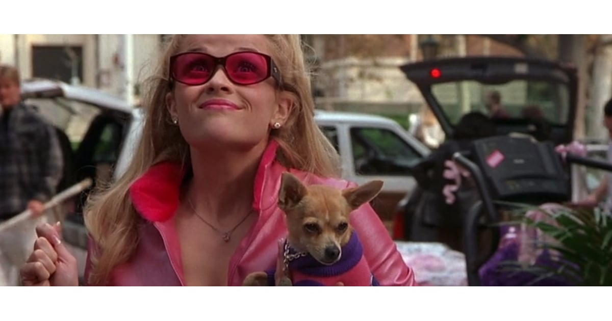 Bruiser Woods From Legally Blonde Has Died Video Popsugar Entertainment 