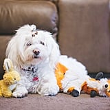 List of Things to Dispose Of | POPSUGAR Smart Living