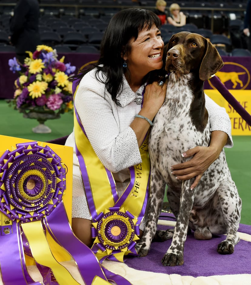 Westminster dog show 2016 best sale
