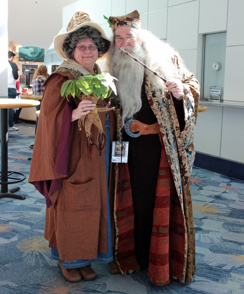 Harry Potter Cosplays At Wondercon 2017 Popsugar Tech