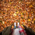 This Leaf-Clearing Hack Will Make You Throw Out Your Rakes — For Good