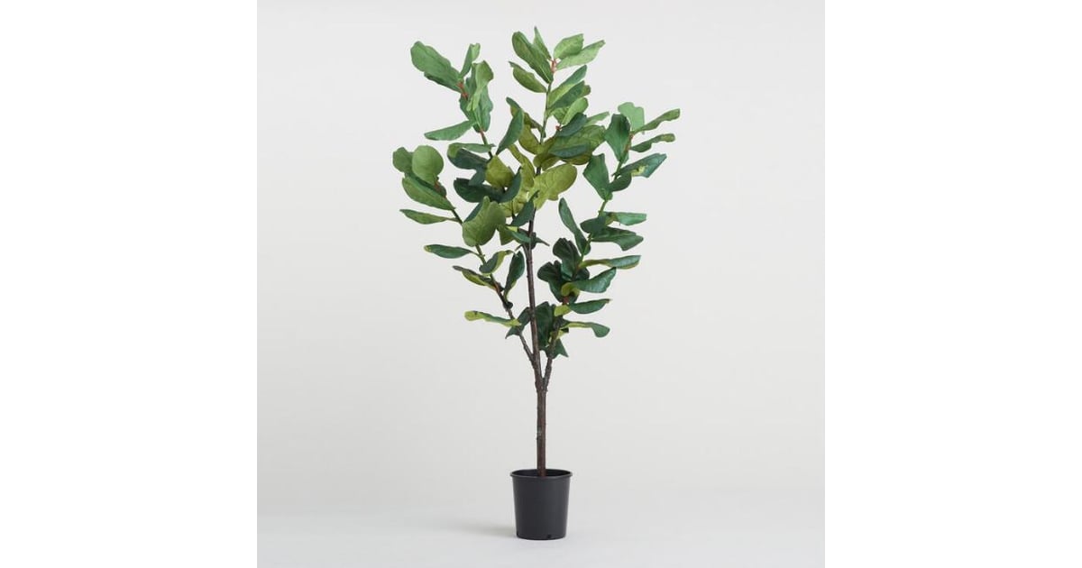 Faux FiddleLeaf Fig Tree Best Fake Plants That Look Real POPSUGAR