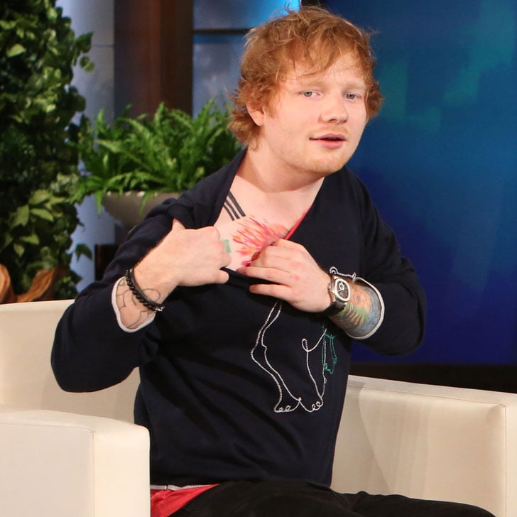 Is Ed Sheeran joking about lion tattoo again Artist responsible for inking  claims its REAL after all  Mirror Online