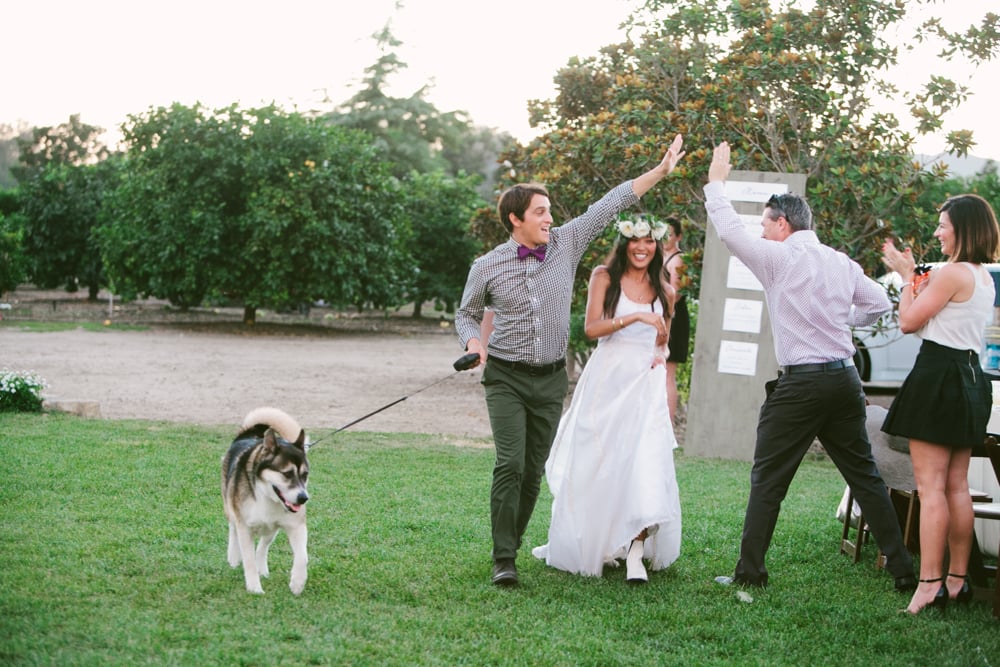 Lemon Orchard Wedding