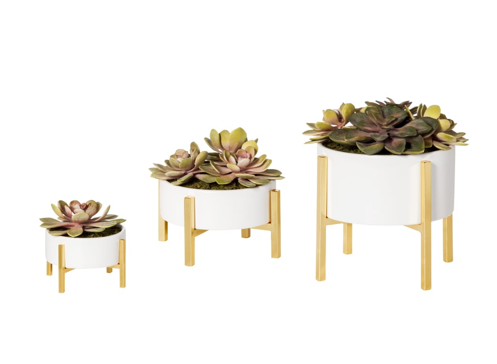 Tall artificial succulent ($17), medium standing planter ($20), medium artificial succulent ($25)