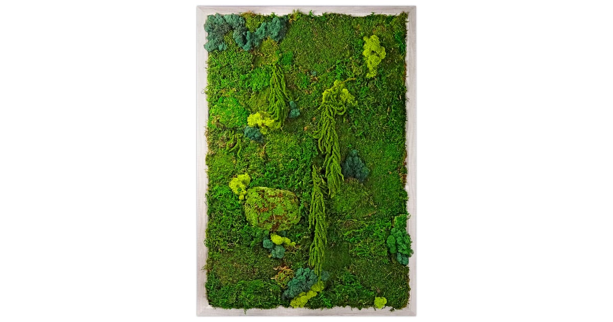 How much is the convenience of a zeromaintenance living wall worth